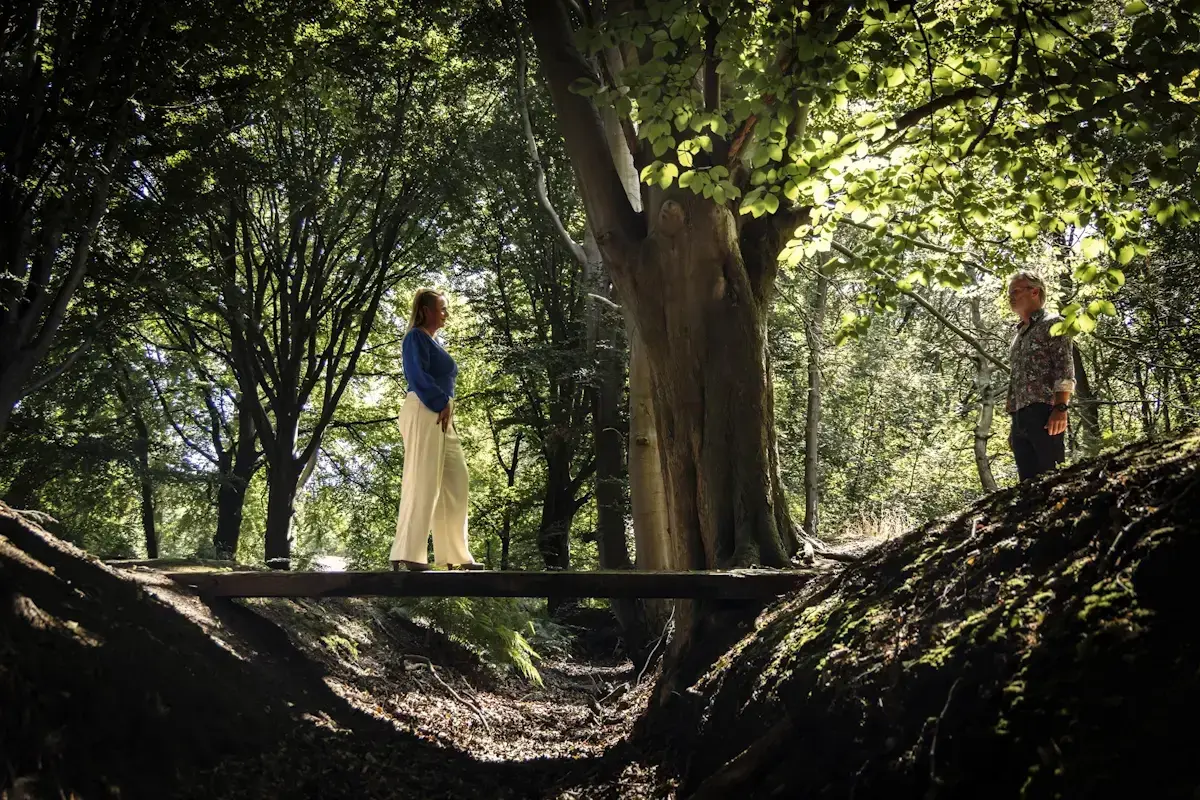 Twee mensen staan tegenover elkaar op een brug in het bos — verbinding, ontmoeting, transformatie